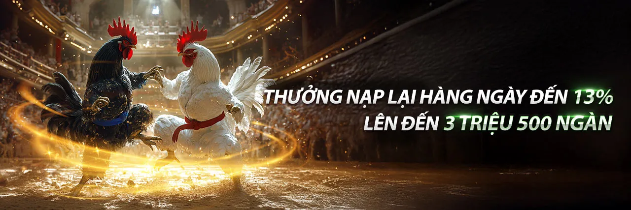 KV9999 - Trải nghiệm chuyên sâu tại KV9999